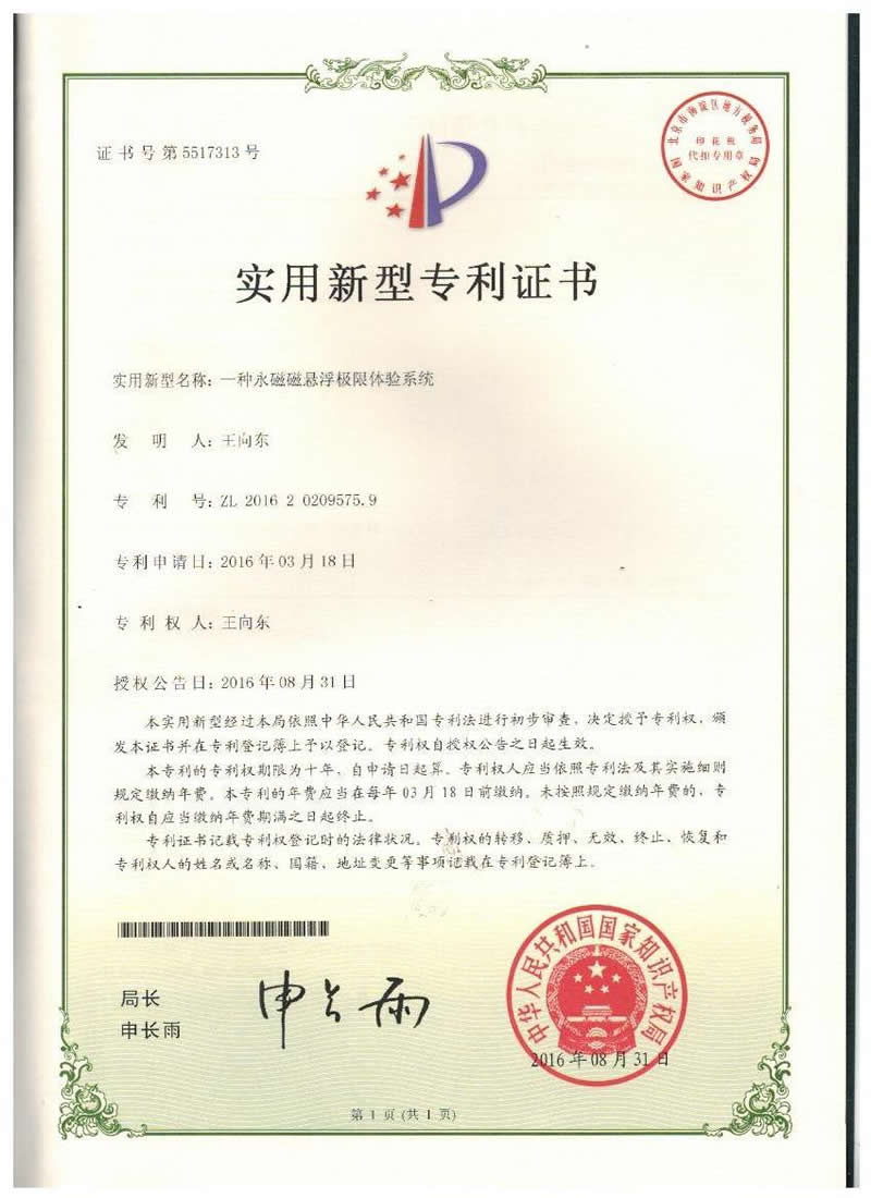 90-一种永磁磁悬浮极限体验系统.jpg